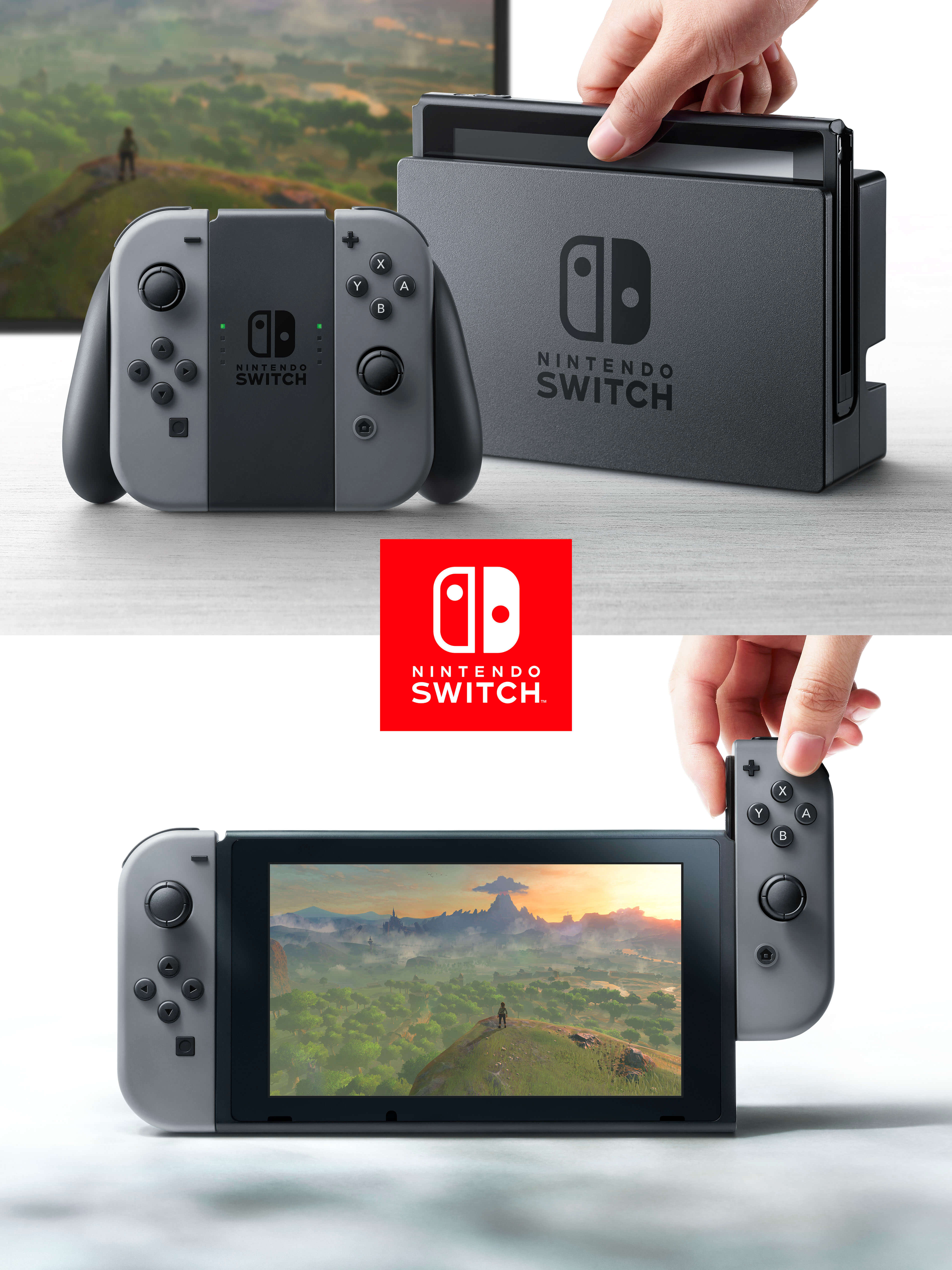 Hardware of the Switch